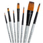 Brush