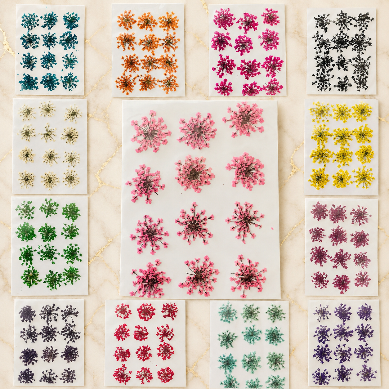 Queen Breath Pressed Flower Sheet