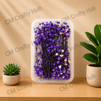 Gypsy Dry Flower Box