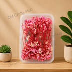 Gypsy Dry Flower Box