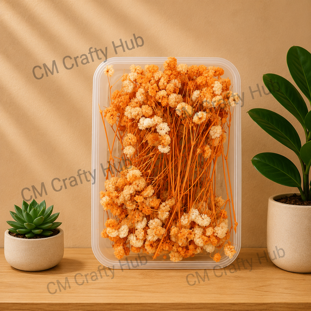 Gypsy Dry Flower Box