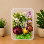 Random Dry Flower Box