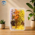 Random Dry Flower Box