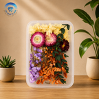 Random Dry Flower Box