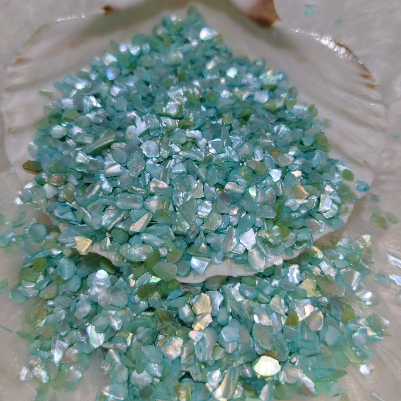 C.Green Shell Chips