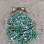 C.Green Shell Chips