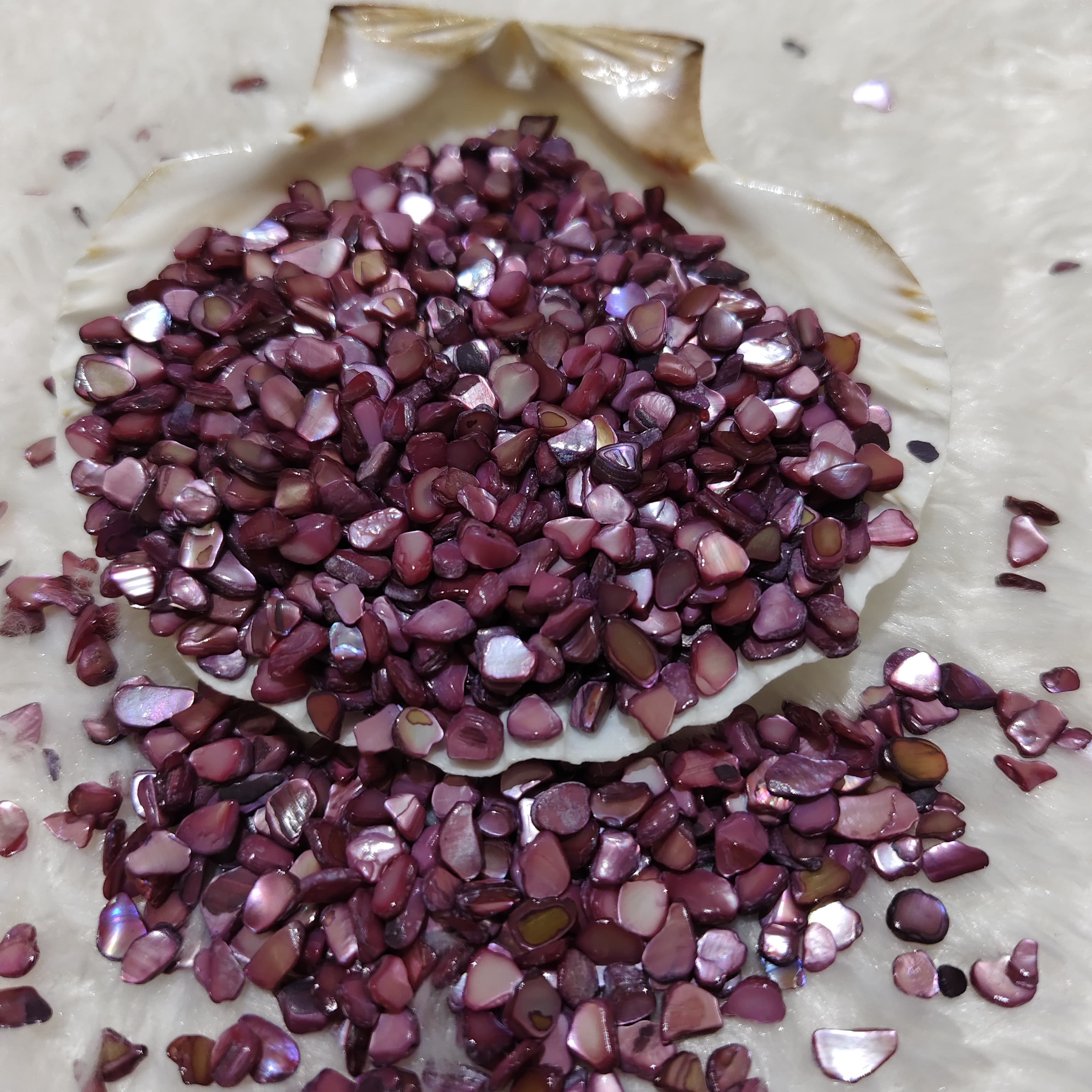 Red Ruby Shell Stone