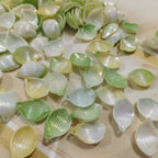 Pearl Petals- Green & Yellow