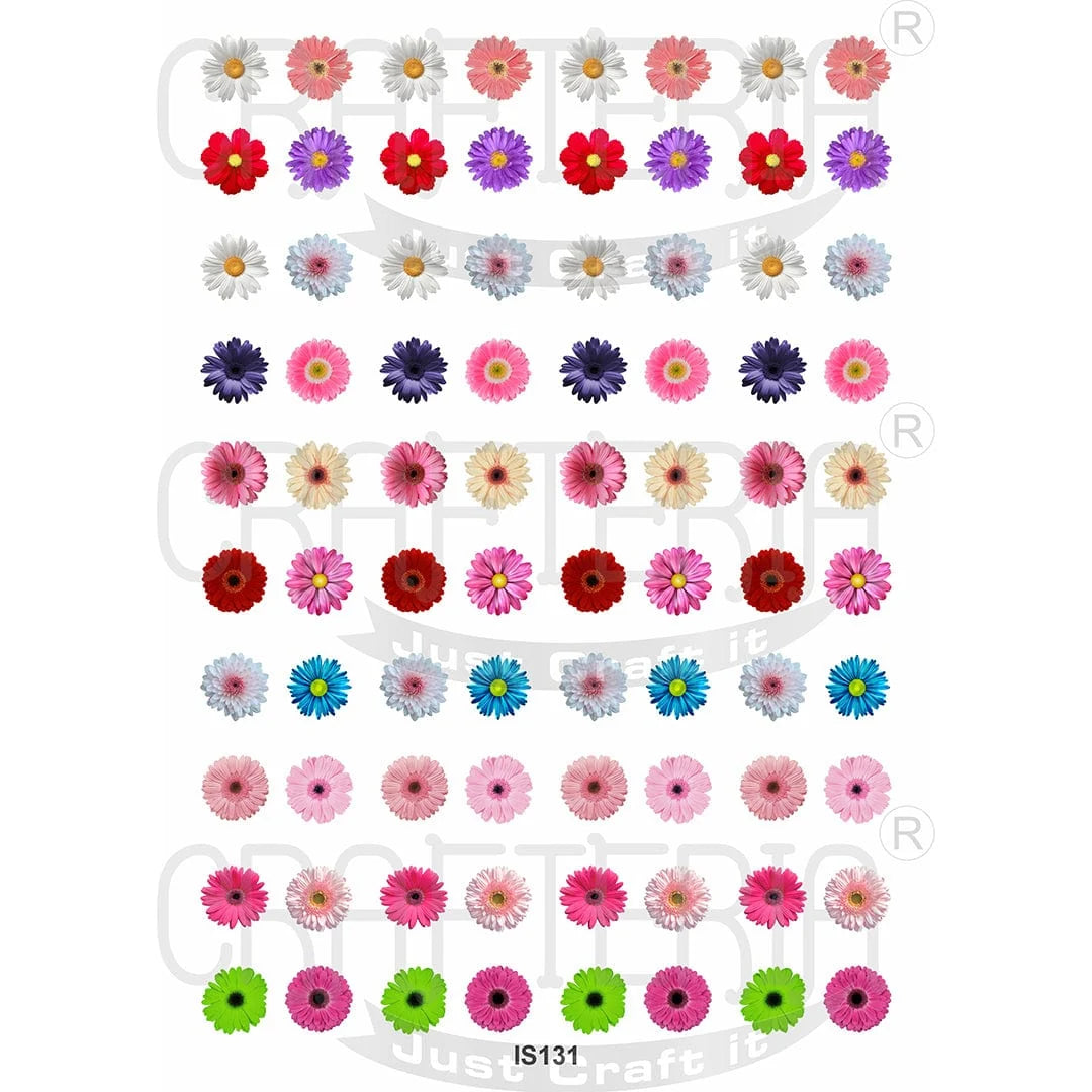 Daisy Flower Designs Insert Sheet