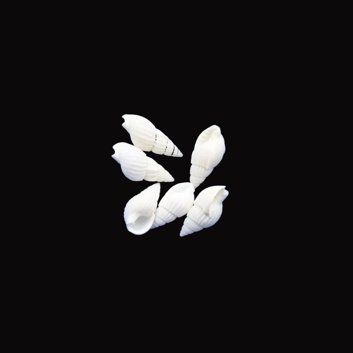 Natural Shell-G Secondary image