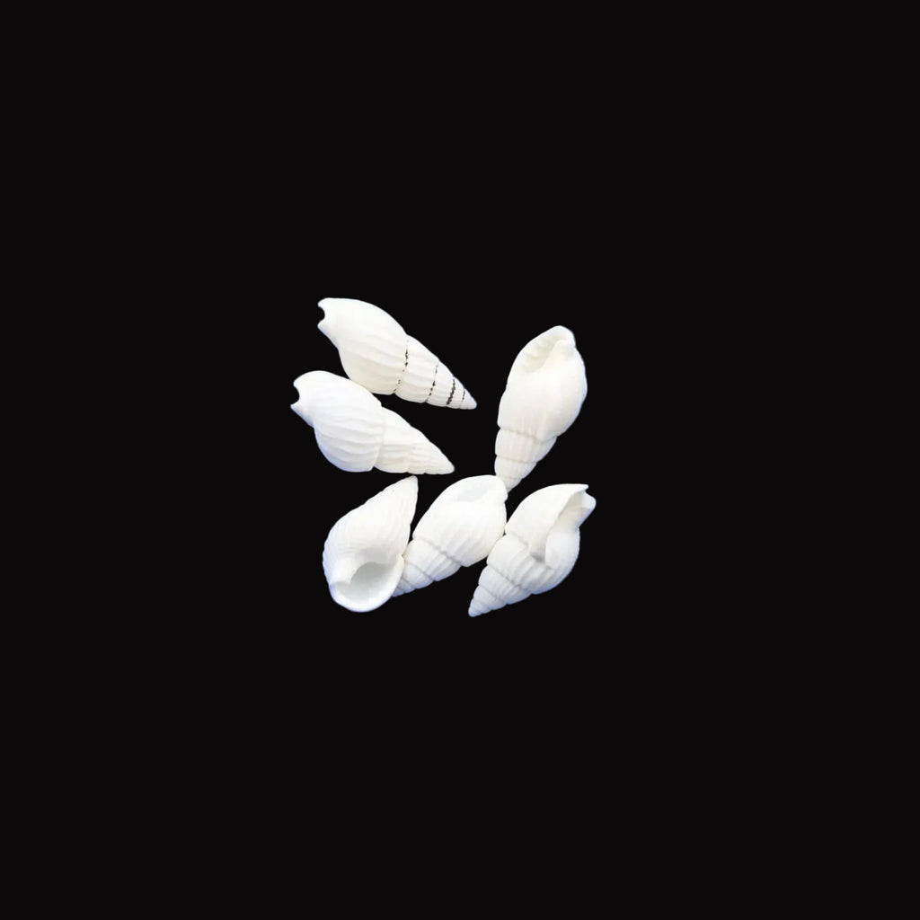 Natural Shell-G