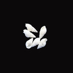 Natural Shell-G