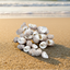 Natural Shell-F
