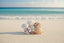 Natural Shell-C